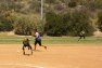 20120415012.jpg